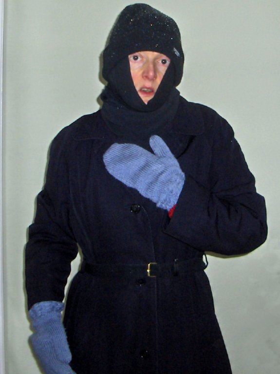 Arctic Igenlode
