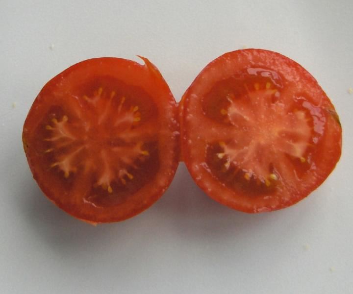 Seedless tomato