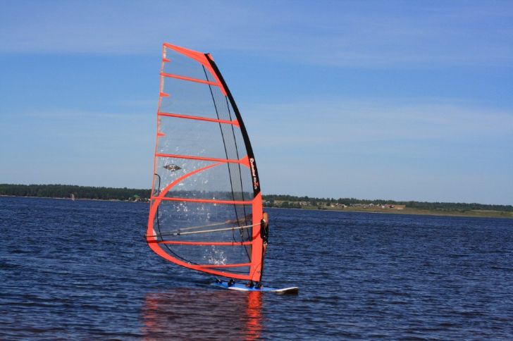 Windsurfer