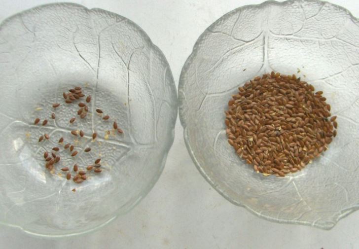 Increase of seed