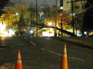 Trees Down Around Arlington VA