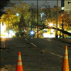 Trees Down Around Arlington VA