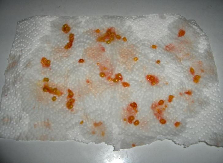 Tomato seed