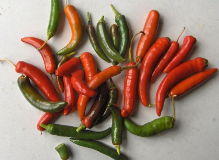 Chillies