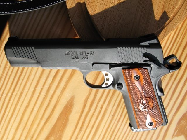 Springer 1911