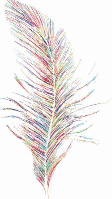 coloured feather