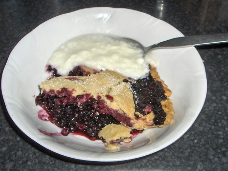 A slice of elderberry pie