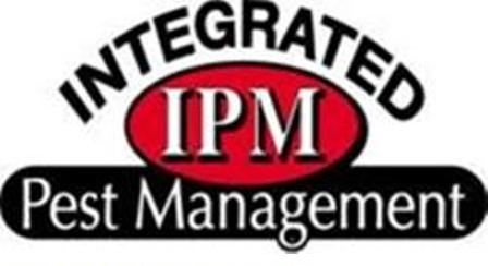 Termite Pest Control Washington Township